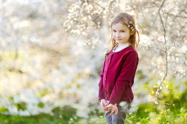 Маленькая девочка в цветущем вишневом саду — стоковое фото