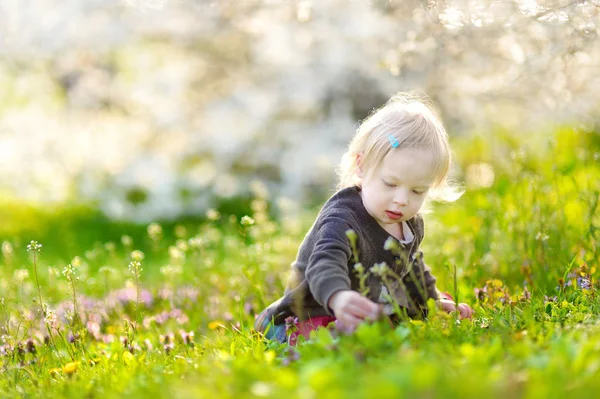 Roztomilá dívka v kvetoucí třešeň zahrada — Stock fotografie