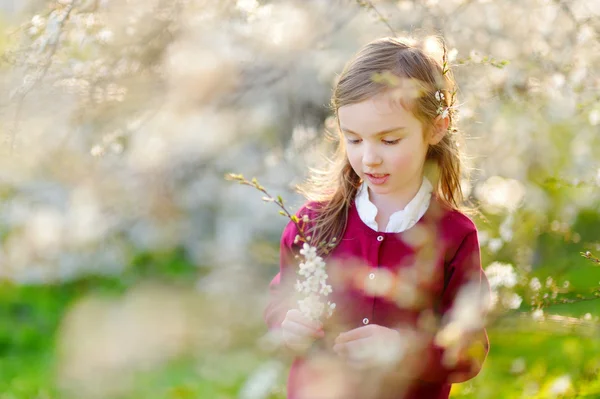Küçük kız kiraz çiçeklenme içinde Bahçe — Stok fotoğraf