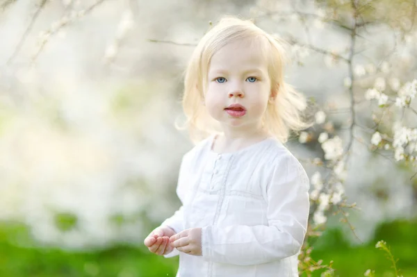 Schattig meisje tijdens de bloei cherry tuin — Stockfoto