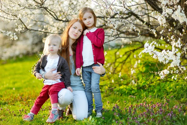 Moeder en kinderen in de bloeiende tuin — Stockfoto