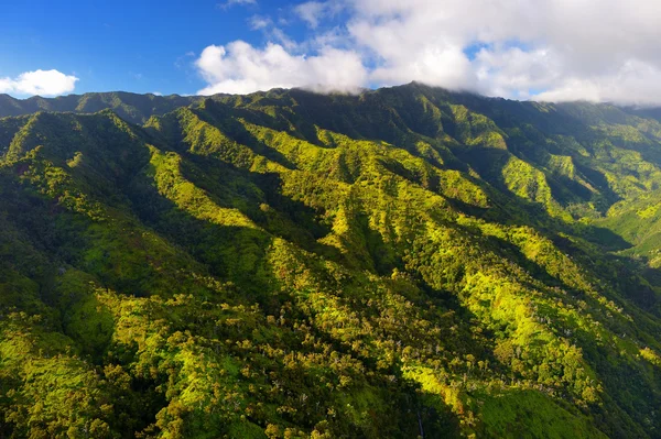 Kauai jungles in Hawaii — Stock Photo, Image