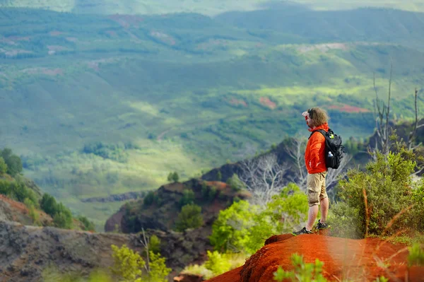 Homme sur le canyon de Waimea — Photo