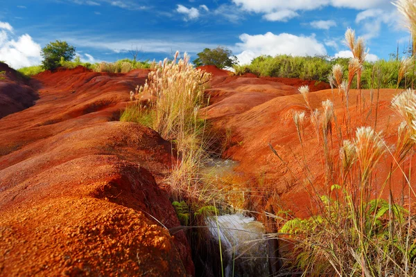Suciedad roja del cañón de Waimea — Foto de Stock