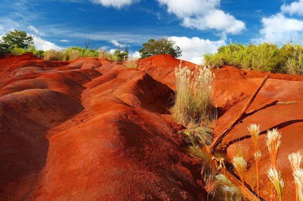 Terra rossa del Waimea Canyon — Foto Stock