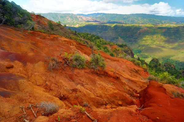 Waimea Canyon in Hawaii — Stock Photo, Image