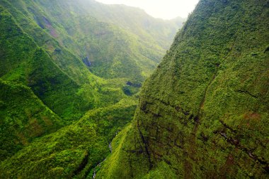 Kauai dağ Waialeale