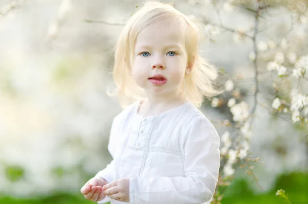 Kleines Mädchen im blühenden Kirschgarten — Stockfoto