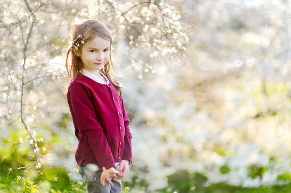 Küçük kız kiraz çiçeklenme içinde Bahçe — Stok fotoğraf