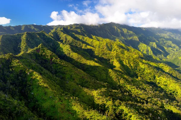 Kauai džungle v Hawaii — Stock fotografie