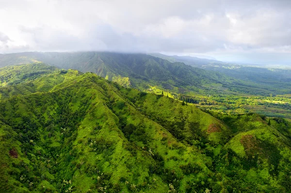 Jungles de Kauai à Hawaï — Photo