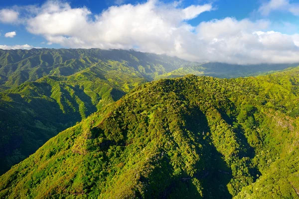 Jungles de Kauai à Hawaï — Photo