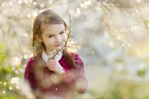 Liten flicka i blommande cherry garden — Stockfoto