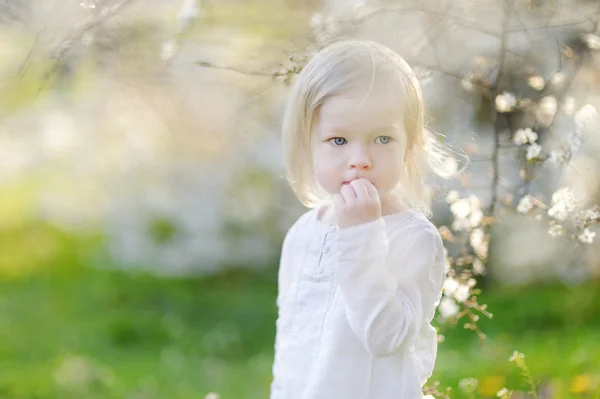 Menina adorável no jardim florescendo cereja — Fotografia de Stock
