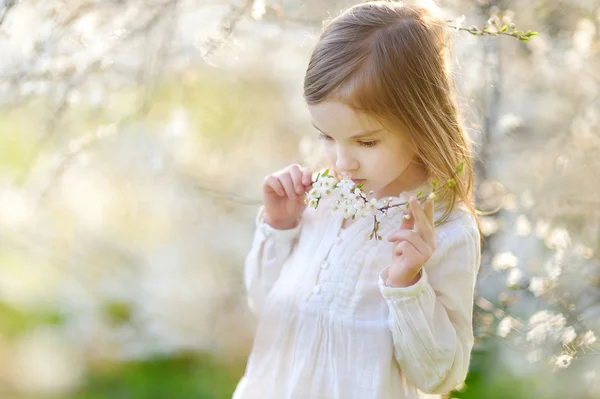 Liten flicka i blommande cherry garden — Stockfoto