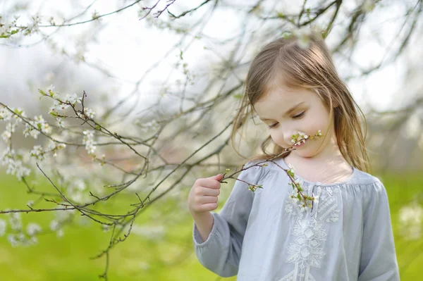 Bambina in fiore giardino di ciliegie — Foto Stock