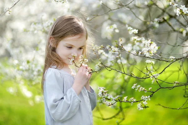 Küçük kız kiraz çiçeklenme içinde Bahçe — Stok fotoğraf