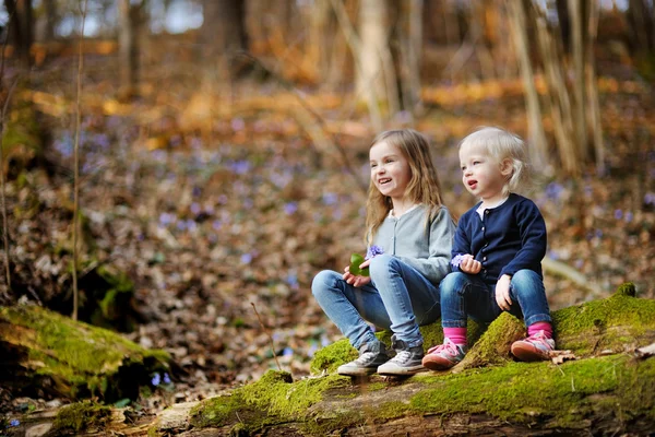 Little sisters i skogen — Stockfoto