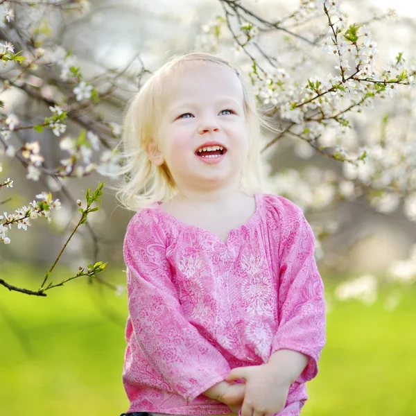 Flicka i blommande cherry garden — Stockfoto