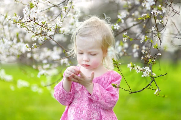 Menina no jardim florescendo cereja — Fotografia de Stock