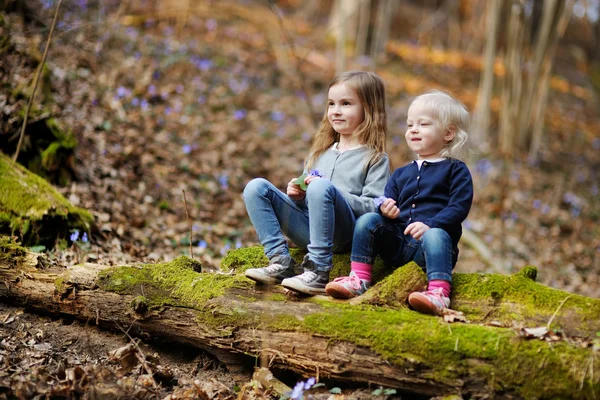 Hermanitas en el bosque —  Fotos de Stock