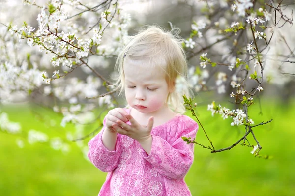 Flicka i blommande cherry garden — Stockfoto