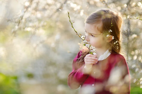 Niña en floreciente jardín de cerezos — Foto de Stock