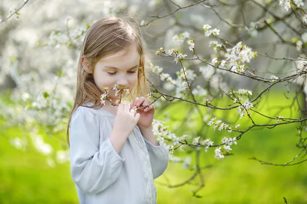 Liten flicka i blommande cherry garden — Stockfoto