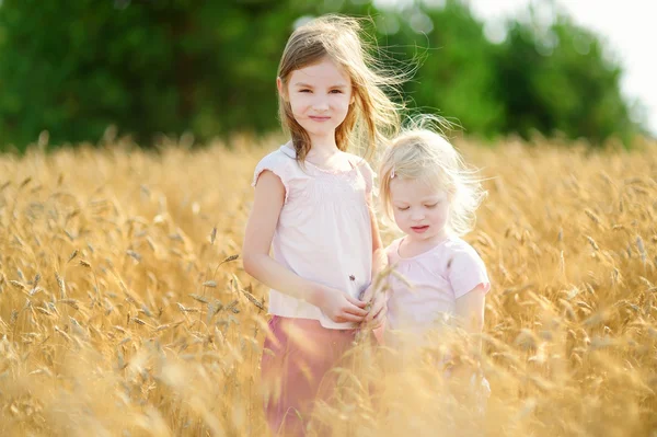 Kleine Schwestern gehen im Weizenfeld — Stockfoto