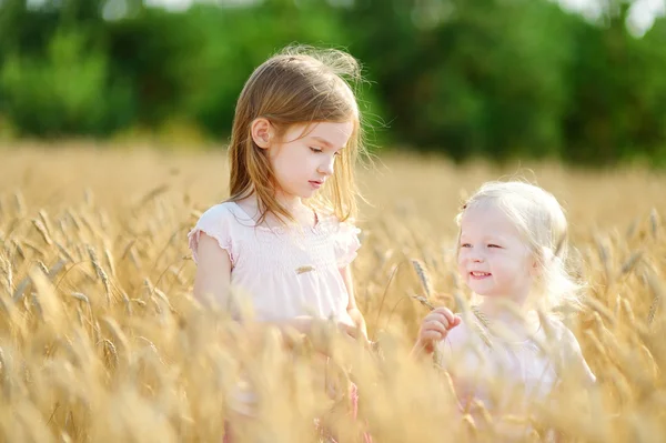 Little sisters walking in wheat field — Stock Photo, Image