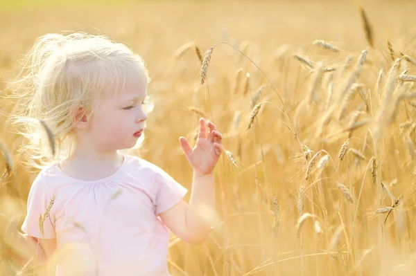 Dziewczyna, chodzenie w polu pszenicy — Zdjęcie stockowe