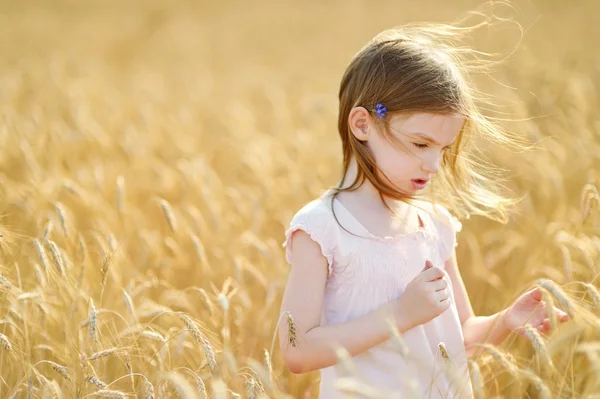 Дошкільнята дівчина ходить у пшеничному полі — стокове фото