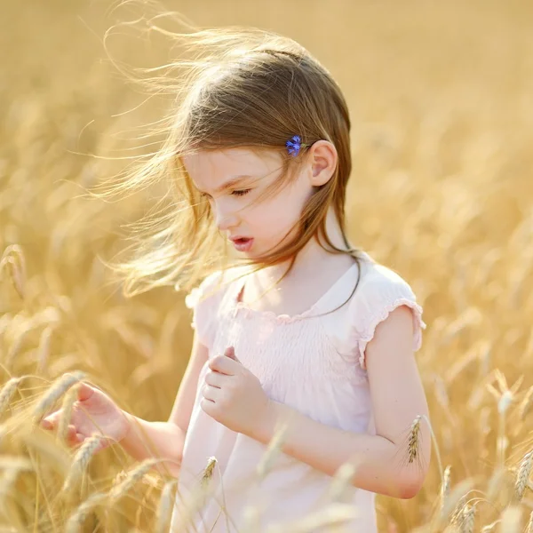 Niña preescolar caminando en el campo de trigo — Foto de Stock