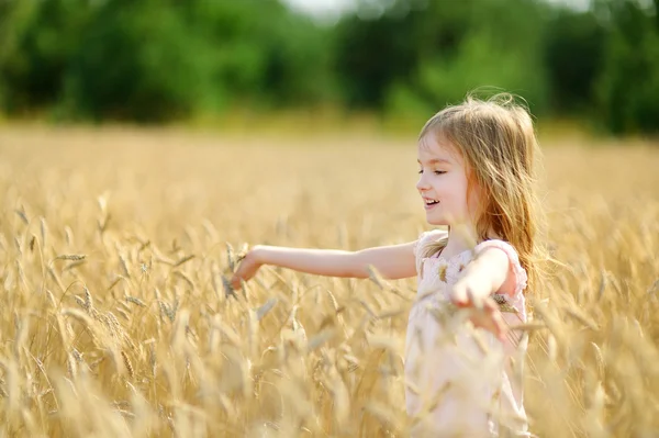 Niña preescolar caminando en el campo de trigo — Foto de Stock