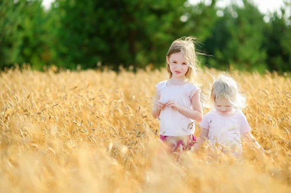 Kleine zusters wandelen in tarweveld — Stockfoto