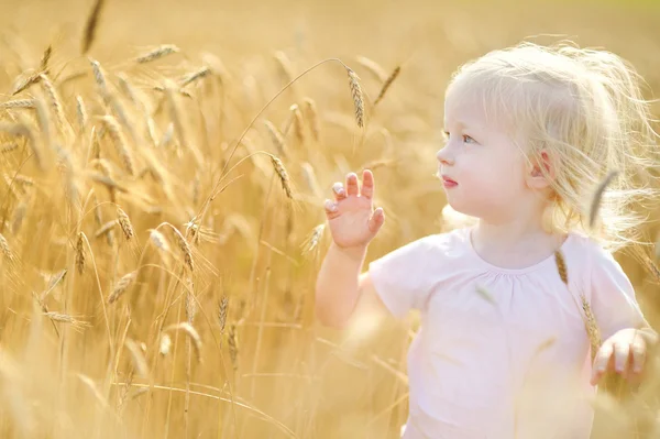 Девушка ходит по пшеничному полю — стоковое фото