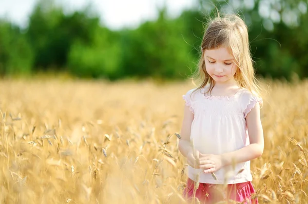 Menina pré-escolar andando no campo de trigo — Fotografia de Stock