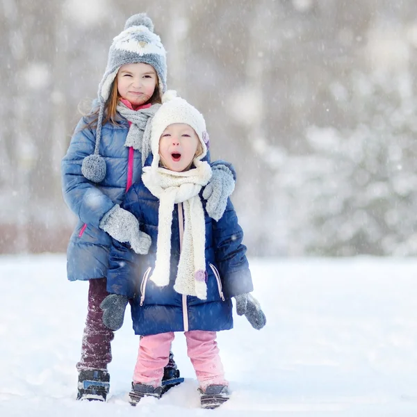 Bedårande lilla systrar i Vinterparken — Stockfoto