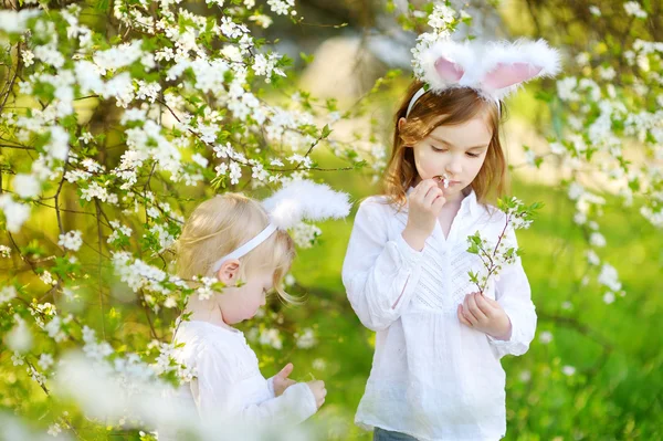 Kleine zusters Easter bunny oren dragen — Stockfoto