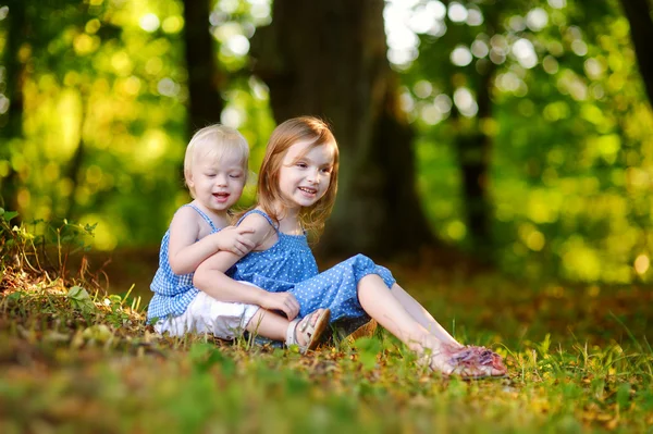 Kleine zusters plezier op gras — Stockfoto