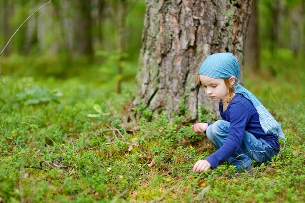 Girl picking foxberries — Stock Photo, Image