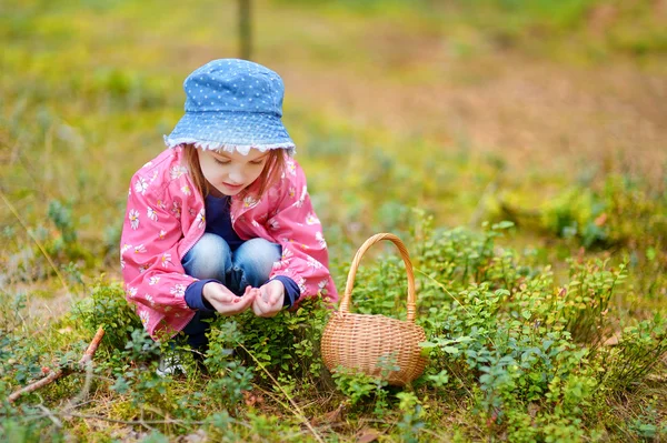 Girl picking foxberries — Stock Photo, Image