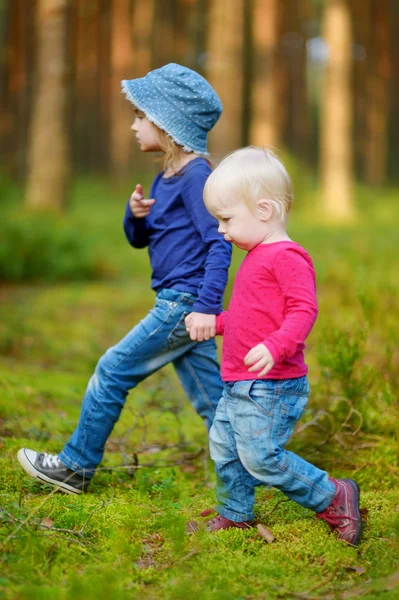 Kleine zusters wandelen in het bos — Stockfoto