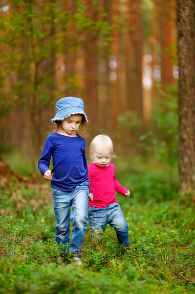 Kleine zusters wandelen in het bos — Stockfoto