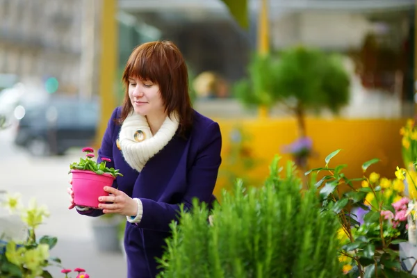 Женщина выбирает цветы на рынке — стоковое фото