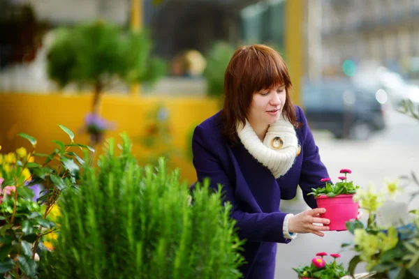 Женщина выбирает цветы на рынке — стоковое фото