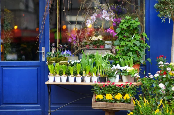 Fiori colorati sul negozio — Foto Stock