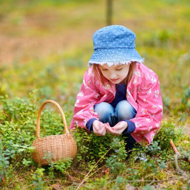 Kız malzeme çekme orman foxberries