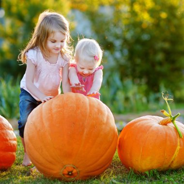 Little sisters büyük kabak