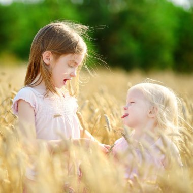 Little sisters buğday alanında